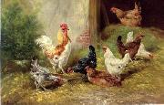 unknow artist Cocks 126 Germany oil painting artist